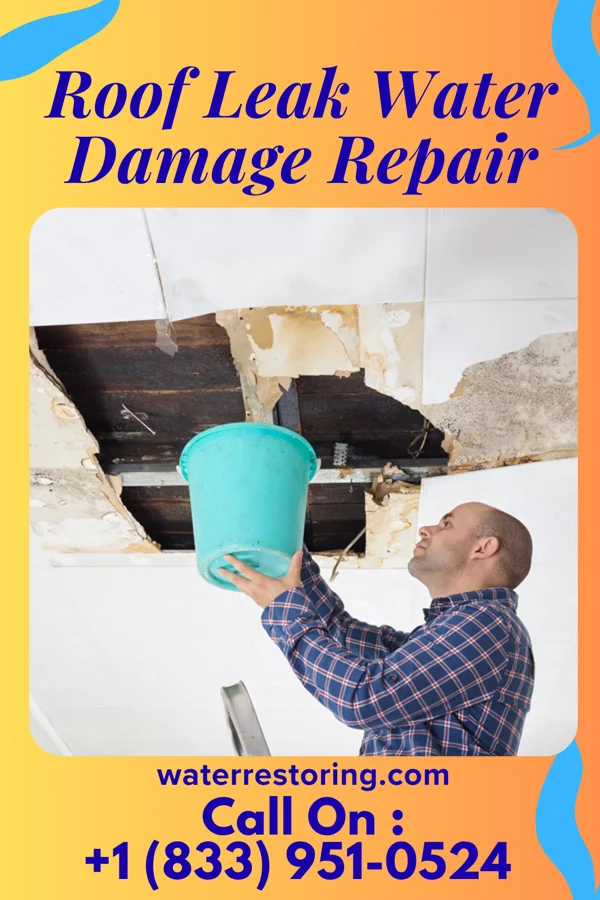 Roof Leak Water Damage Repair in Dixie Union, GA